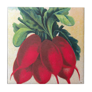 Rettich-Samen-Paket Fliese