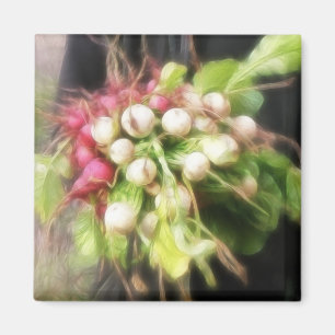 Rettich-u. Rübe-Ernte Magnet