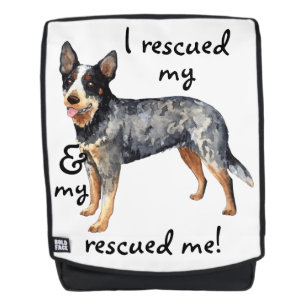 Rettung des australischen Rinderhundes Rucksack