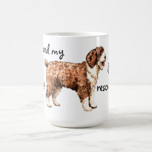 Rettung des spanischen Wasserhundes Tasse