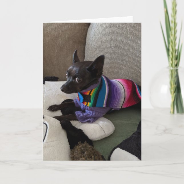 Rettung Hunde Standard, 5" x 7" geklappte Grußkart Karte (Vorderseite)