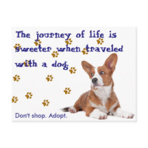 Rettung. Nicht einkaufen.