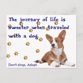 Rettung. Nicht einkaufen. Postkarte