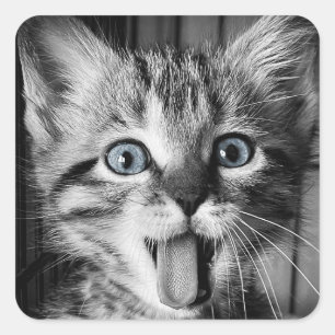 Rettung Niedlich Kitten Classic Round Aufkleber