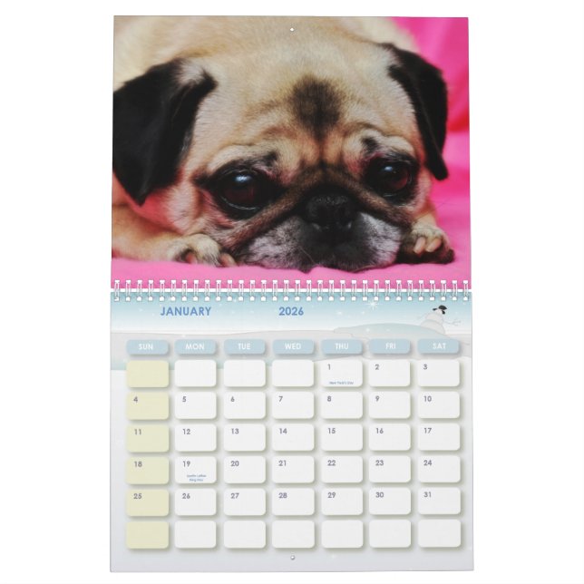 Rettung verfolgt Kalender II (Jan 2026)