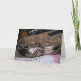 Rettung von Hunden mit geklappter Grußkarte Karte