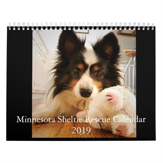 Rettungs-Kalender 2019 Minnesotas Sheltie Kalender (Titelbild)