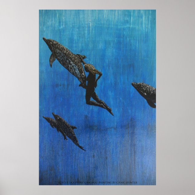 Rettungsdelphin Poster (Vorne)