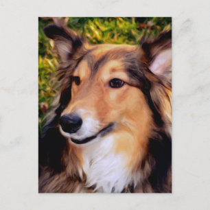 Rettungshund Postkarte