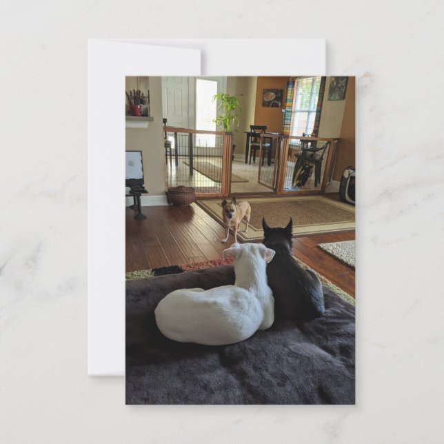 Rettungshunde 3,5" x 5" Flat Dankeschön Karte (Vorderseite)