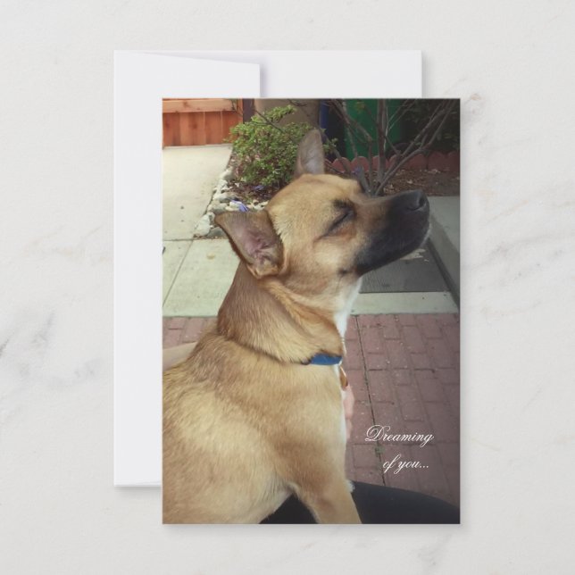 Rettungshunde 3,5" x 5" Flat Dankeschön Karte (Vorderseite)