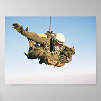 Rettungsspringer Poster