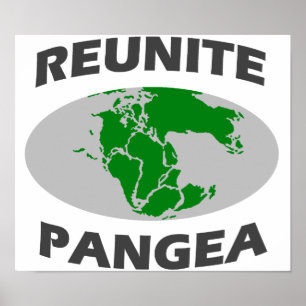 Reunite Pangea Poster