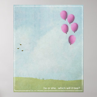 Reveal Poster - Rosa Balloons - 16x20