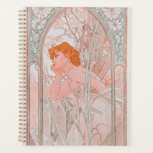 Reverie du Soir (1899) Planer