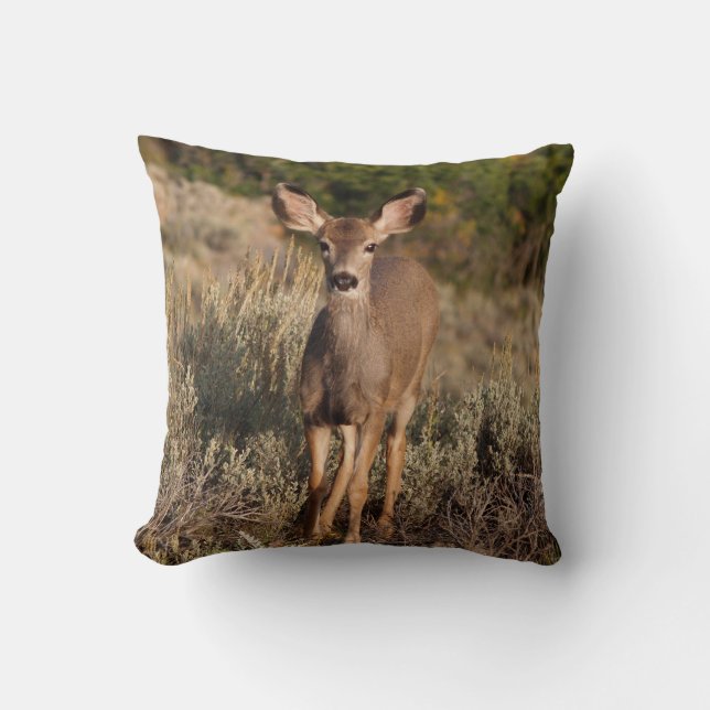 Reversible Fauna auf einem Kissen (Vorderseite)