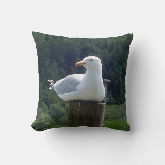 Reversible Seagull-Down Kissen (Vorderseite)