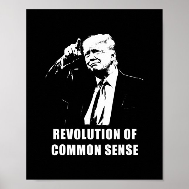 Revolution des gesunden Menschenverstands – Trump  Poster (Vorne)