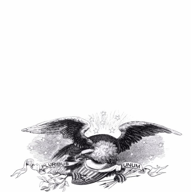 Revolutionäre Kriegs-Adler-Foto-Skulptur Freistehende Fotoskulptur (Vorne)