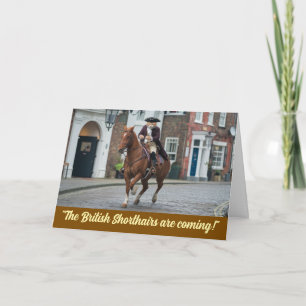 Revolutionskrieg Tabby Karte