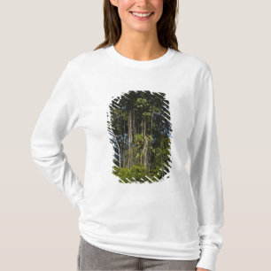 Rewa Flussufer Regenwald Guyana T-Shirt