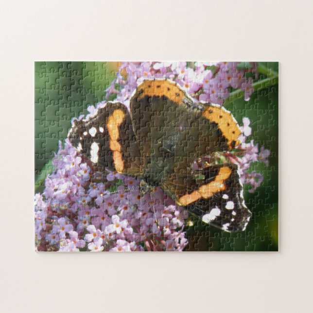 Rewd Admiral Butterfly und Blume Puzzle (Horizontal)