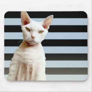 Rex Katzen-blauer/schwarzer Streifen Mousepad