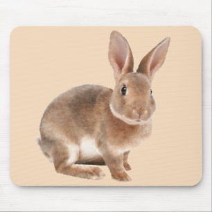Rex Rabbit Mousepad