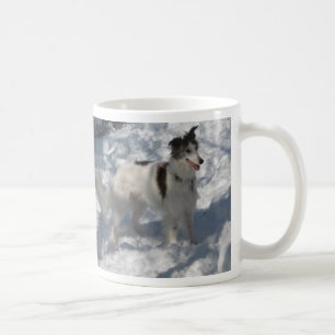 Rex Tasse