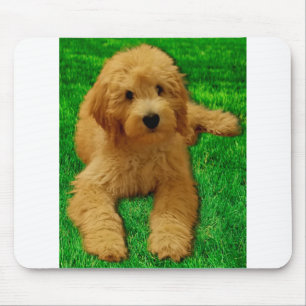 Rex the Goldendoodle Mousepad