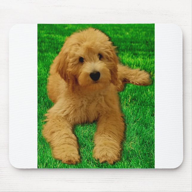 Rex the Goldendoodle Mousepad (Vorne)