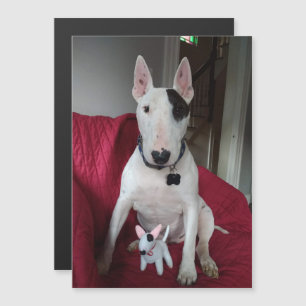 Rex the TV Terrier and Ditto magnet