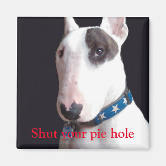 Rex The TV Terrier Schalten Sie Ihren Kuchen Loch Magnet