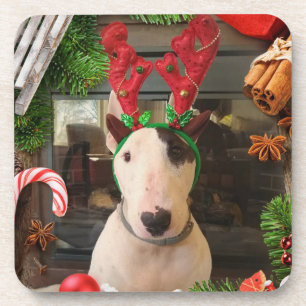 Rex the TV Terrier Weihnachten Untersetzer