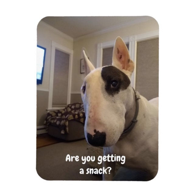 Rex TV Terrier Kühlschrank Magnet (Vertikal)