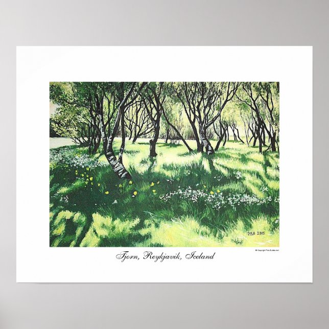 Reykjavik Island Landschaftskunst von Pola.B.Alex Poster (Vorne)
