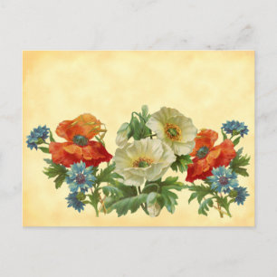 Rezeptkarten mit alten Mohnblumen und Kornblumen Postkarte