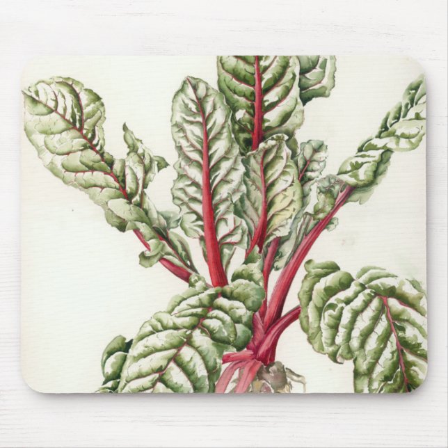 Rhabarber-Mangoldgemüse 1992 Mousepad (Vorne)