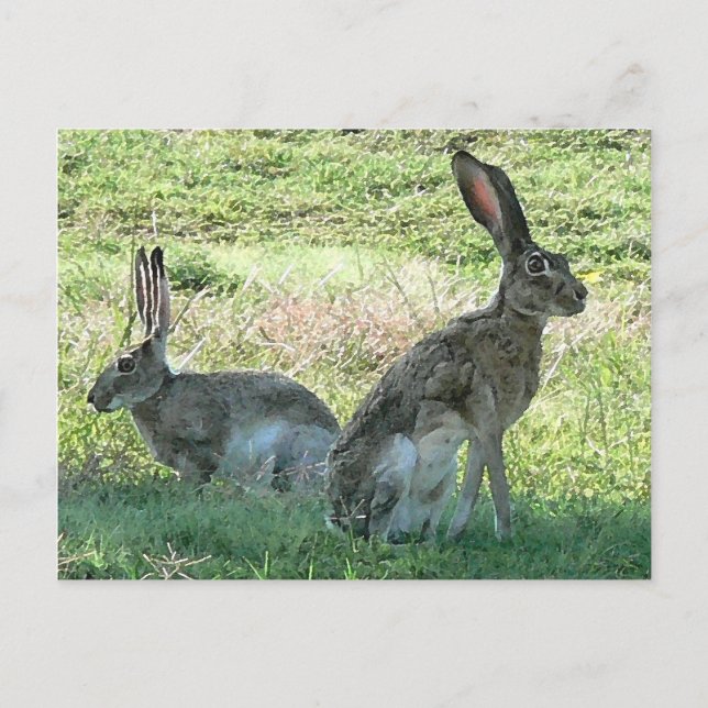 RHC Postkarte (Vorderseite)