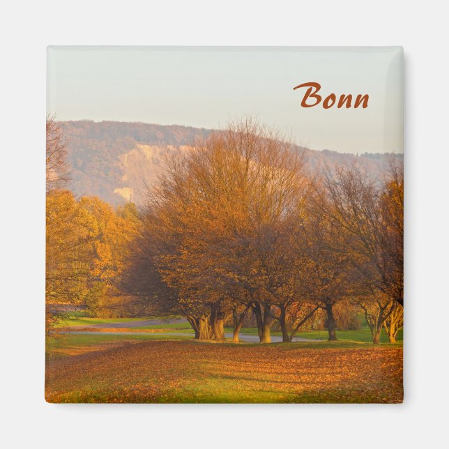 Rheinaue Park Magnet (Vorne)