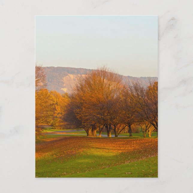 Rheinaue Park Postcard Postkarte (Vorderseite)