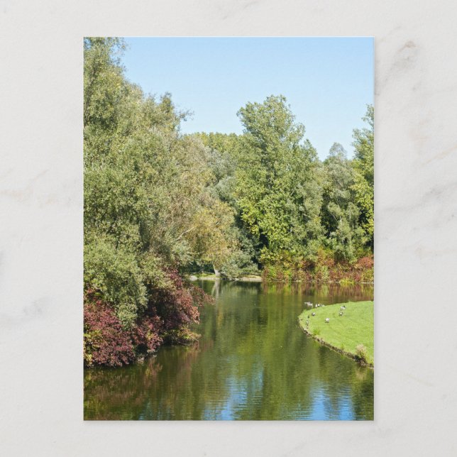Rheinaue Park Postcard Postkarte (Vorderseite)