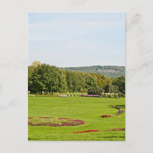 Rheinaue Park Postcard Postkarte (Vorderseite)