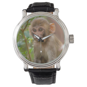 Rhesus-Affenbaby, Affentempel, Jaipur Armbanduhr