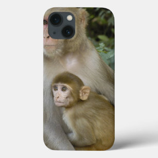 Rhesus Macaques Macaca mulatta) Mutter und Kind iPhone 13 Hülle