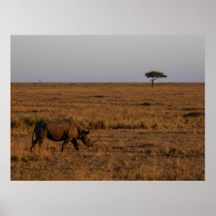 Rhino at Dusk - African Wildlife Wall Art Poster