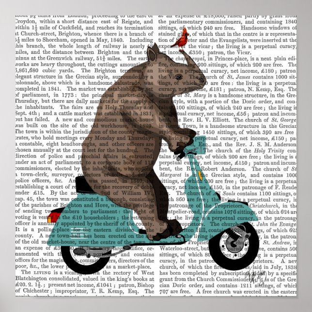 Rhino auf Moped Poster (Vorne)