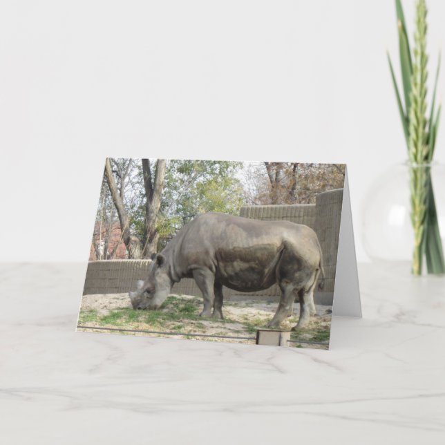 Rhino Birthday Card Karte (Vorderseite)