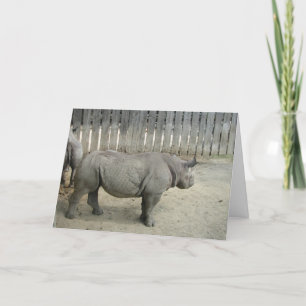 Rhino Birthday Card! Karte