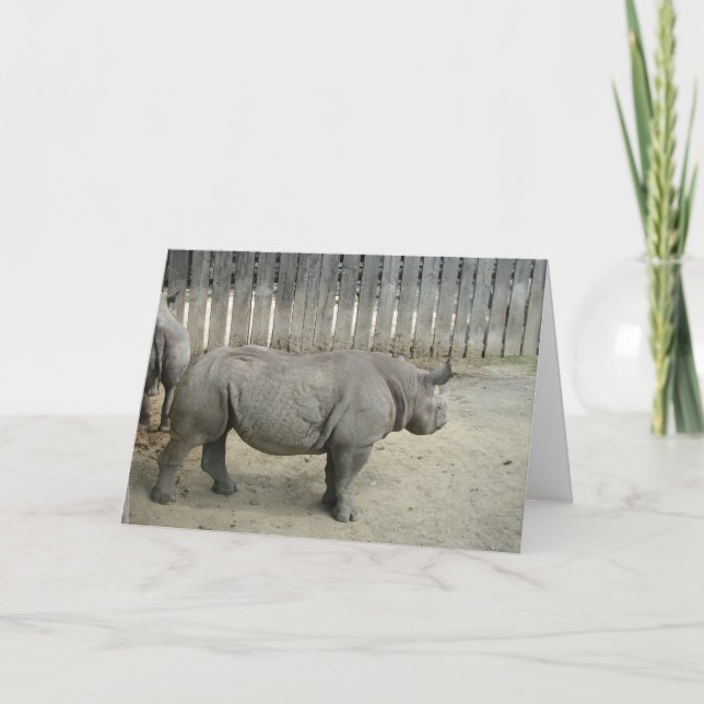 Rhino Birthday Card! Karte (Vorderseite)